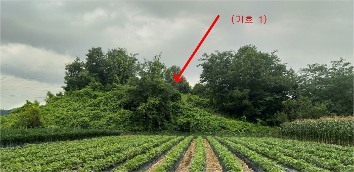 기호 1 (구촌리 220-2)