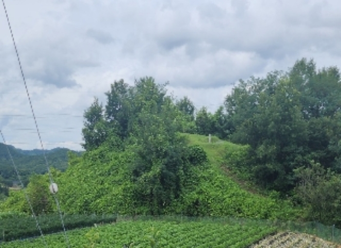 충북 영동군 영동읍 용산면 구촌리220-2
