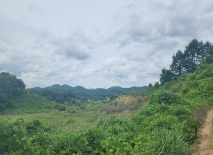 충북 영동군 영동읍 용산면 구촌리 223-5,223-6,223-7,산38-39,산38-40