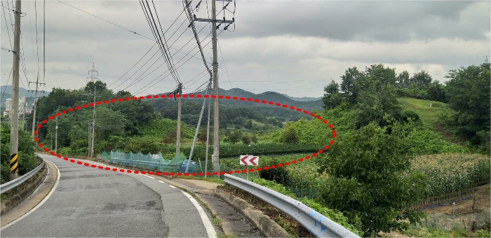 본건 전경