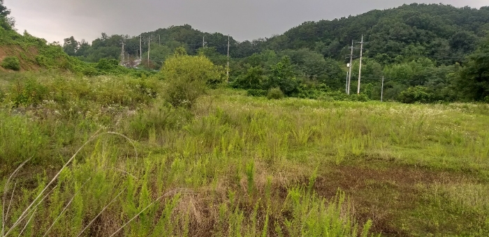기호 2, 3, 4, 5, 7, 10, 16 (구촌리
223-5, 223-6, 223-7, 223-8, 산38-28, 산38-40)