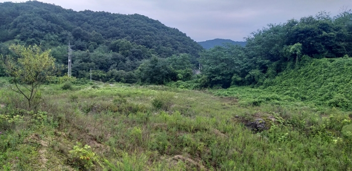 본건 전경