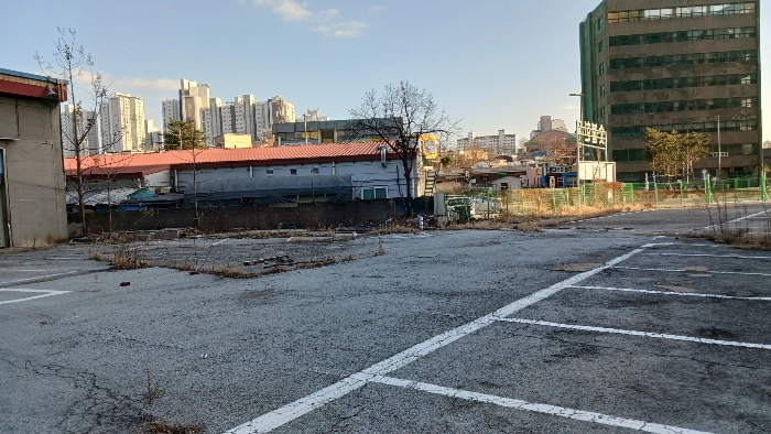 본건 나지부분 근경