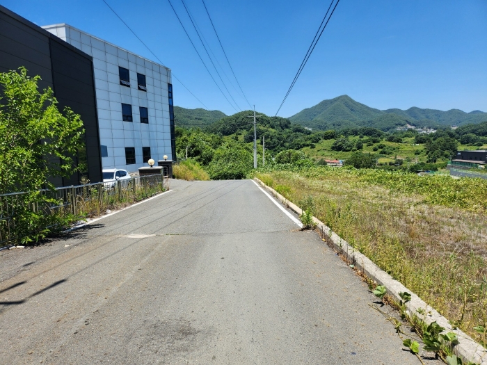 기호(1) 주변환경