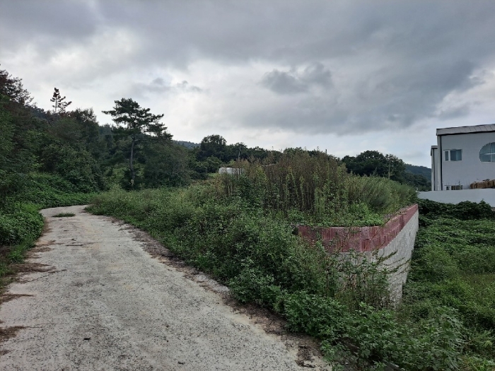 본건 (4부지:  14,16,30)