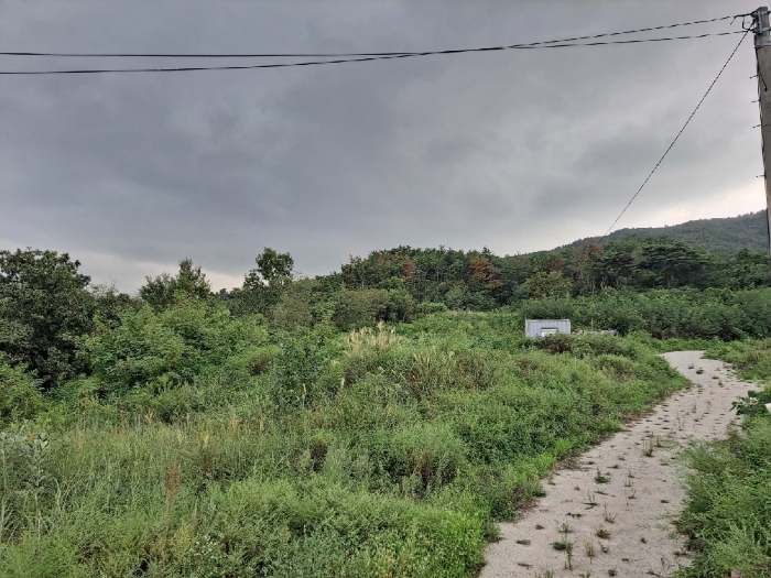 기호(휴경지: 28)