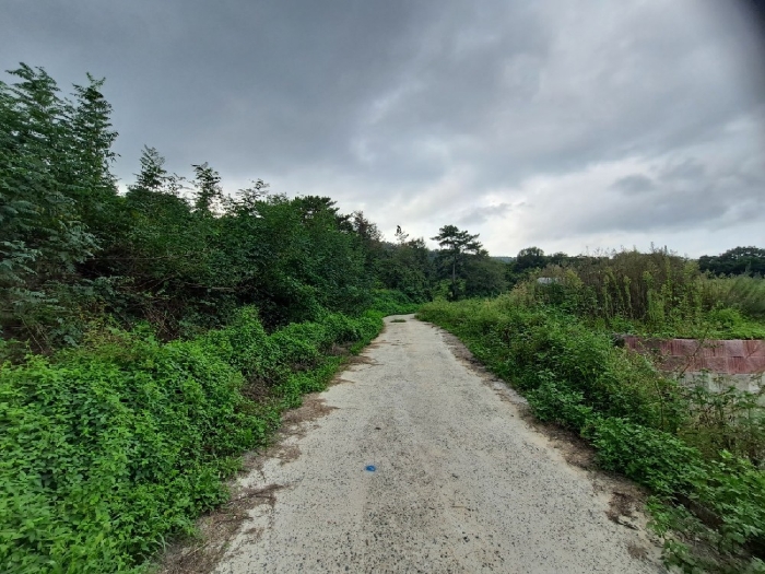 기호(도로및도로예정지: 6,7,8,10,12,15,19,21,24,25)