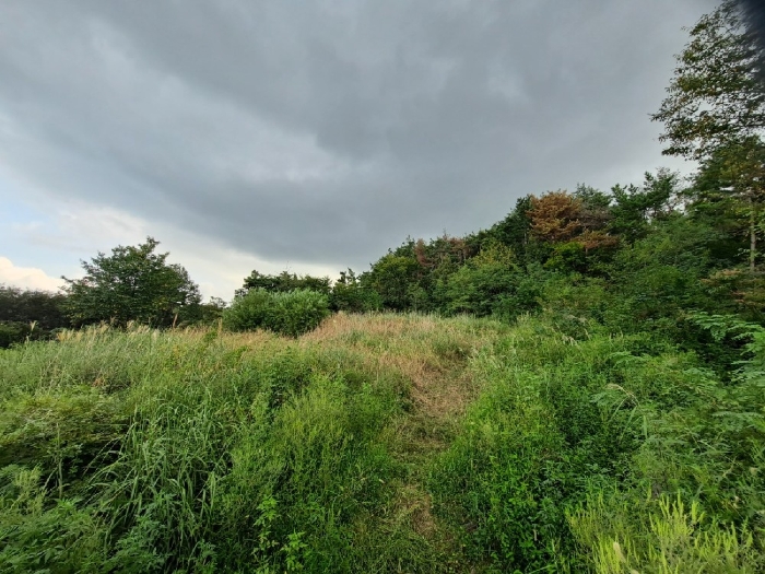 기호(휴경지: 22)