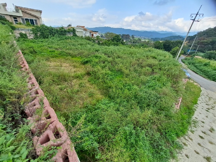 본건 (1부지:  23,32)