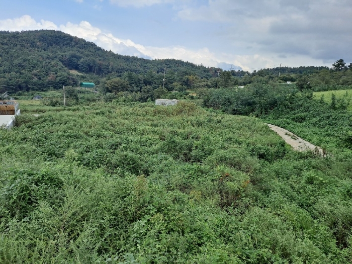 본건 (4부지:  14,16,30)