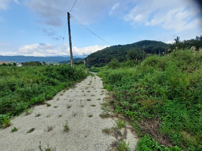 기호(도로및도로예정지: 6,7,8,10,12,15,19,21,24,25)