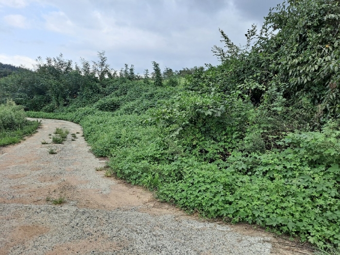 기호(도로및도로예정지: 6,7,8,10,12,15,19,21,24,25)