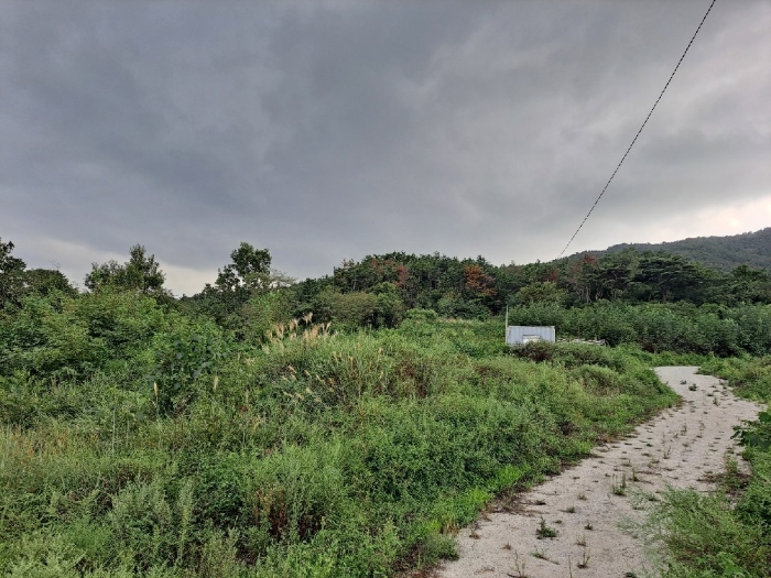 기호(미허가나대지: 29)