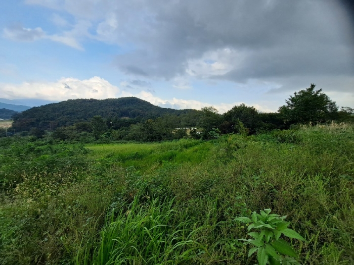 기호(휴경지: 26)