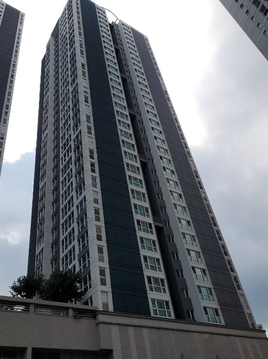 본건전경(남서에서 북동으로)