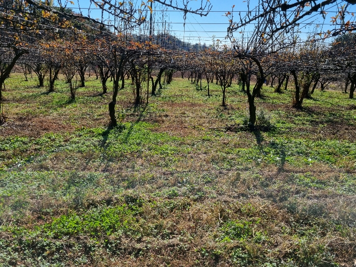 (1) 내부 및 (ㄱ)