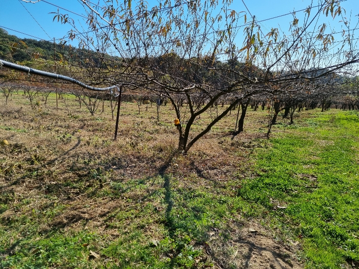 (2) 내부 및 (ㄴ)