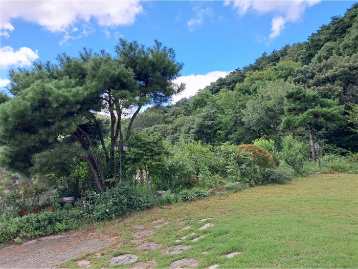 본건 토지상 조경수 전경