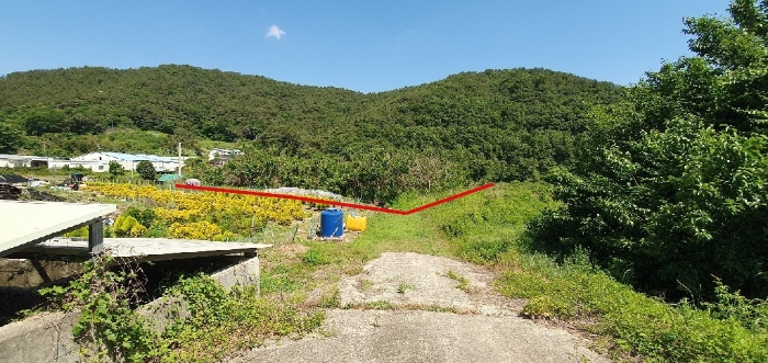 제시외수목(뽕나무 등)