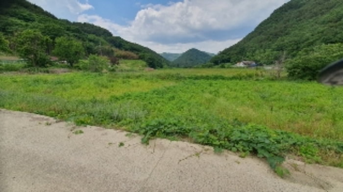 본건9~21 및 주변