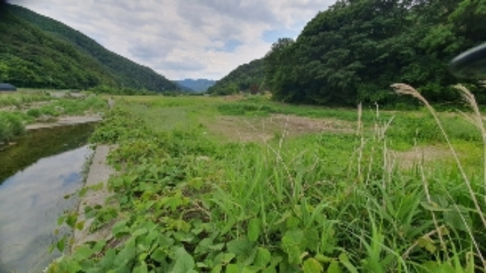 본건12 및 주변(일부 하천)