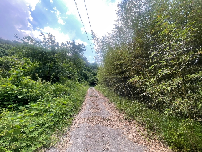 본건 기호 1) 전경