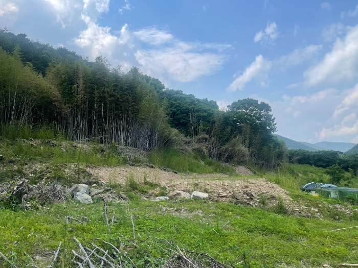 본건 기호 2) 전경