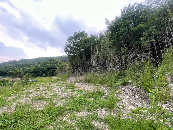 본건 기호 3) 전경