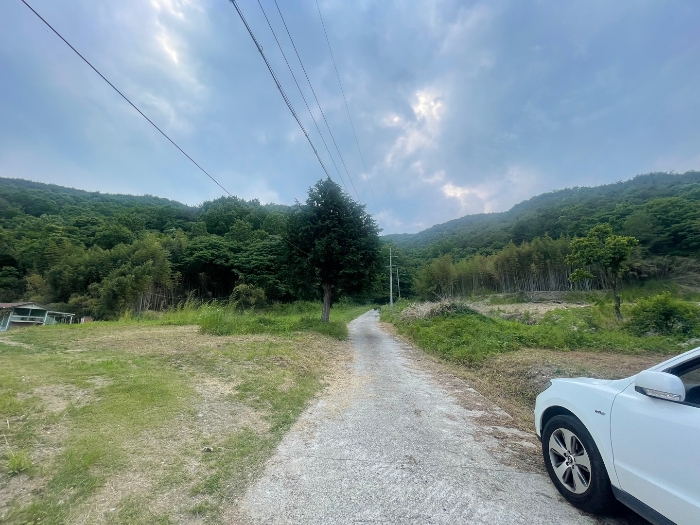 본건 기호 4) 전경