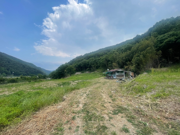 본건 기호 5) 전경