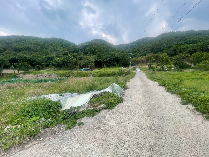 본건 기호 6,7,8) 전경