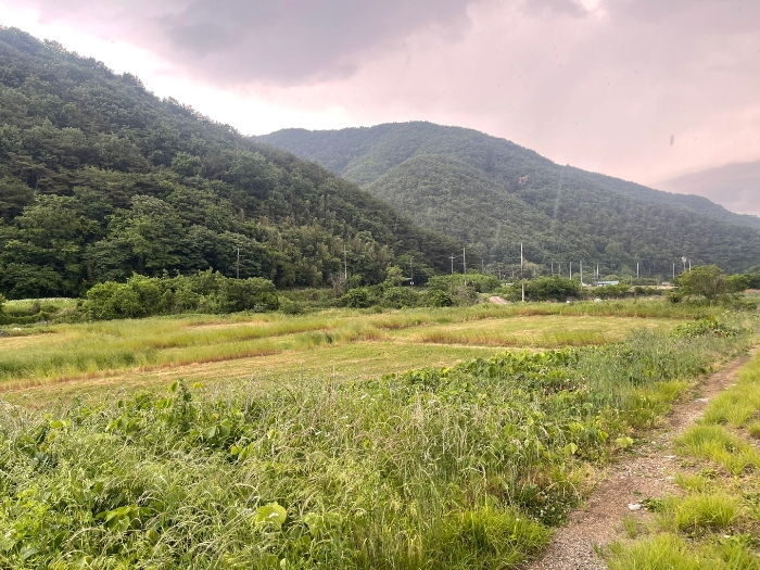 본건 기호 9,10,11,14,15,16,17) 전경