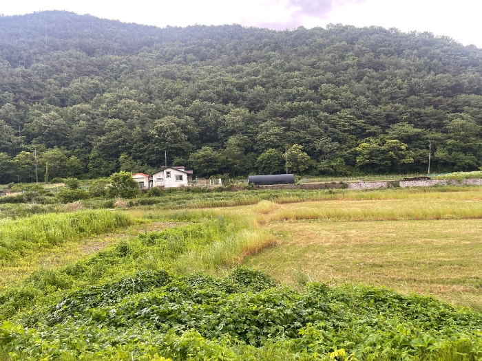 본건 기호 12,13,14) 전경