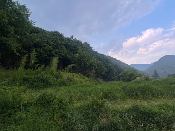 본건 기호 19,20,21) 전경