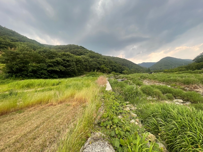 본건 기호 12) 현황 하천 구역