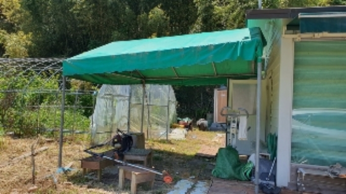 본건5 지상 및 이웃필지 경계부분에 소재하는 타인 소유의 제시외건물