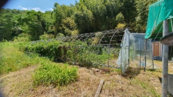 본건5 지상 및 이웃필지 경계부분에 소재하는 타인 소유의 제시외하우스