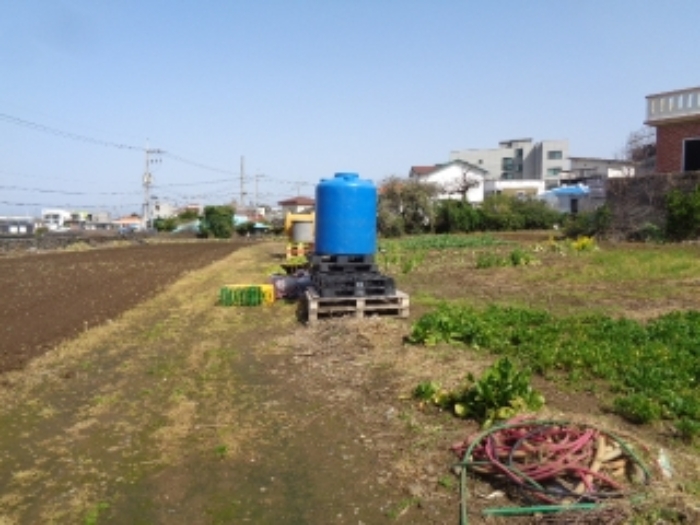 소재지3.(조천리 2815-10) 