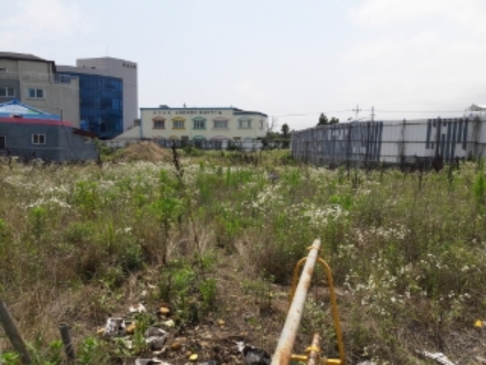 본건(고성리 1214)