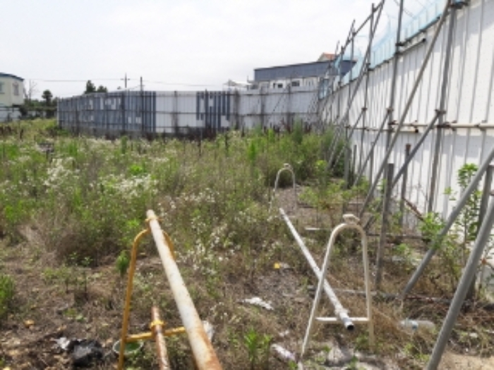 본건(고성리 1214)