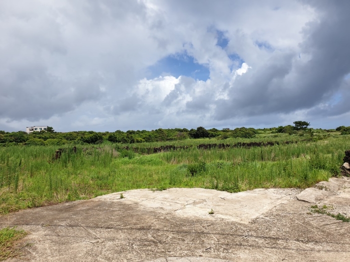 기호(1-5)전경 남동측에서 촬영 