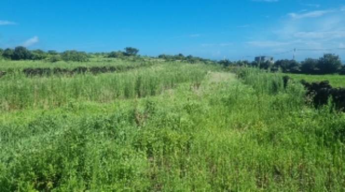 소재지3(연평리 194-1) 전경