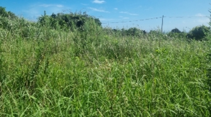 소재지5(연평리 194-3) 전경