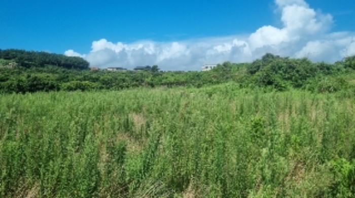 소재지2(연평리 192) 전경