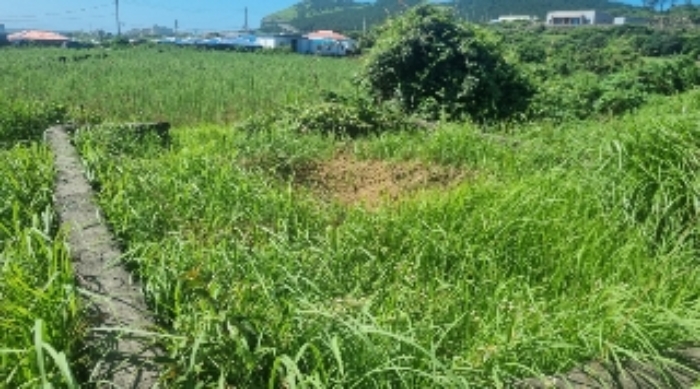 소재지4(연평리 192-1) 전경