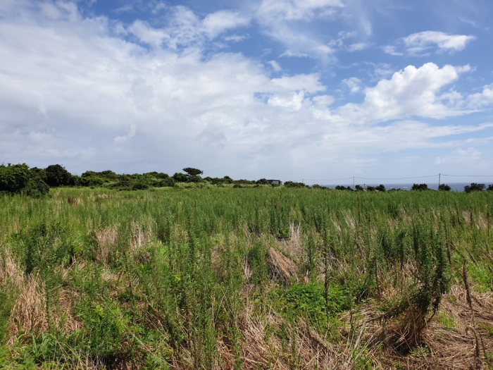 기호(1,2,4)전경 남측에서 촬영 