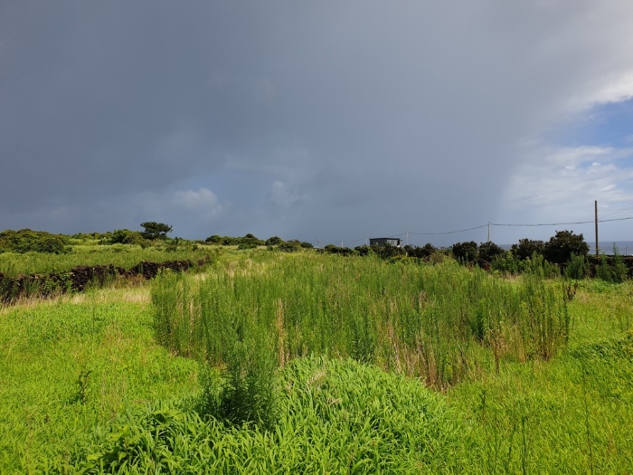 기호(3,5)전경 남측에서 촬영 