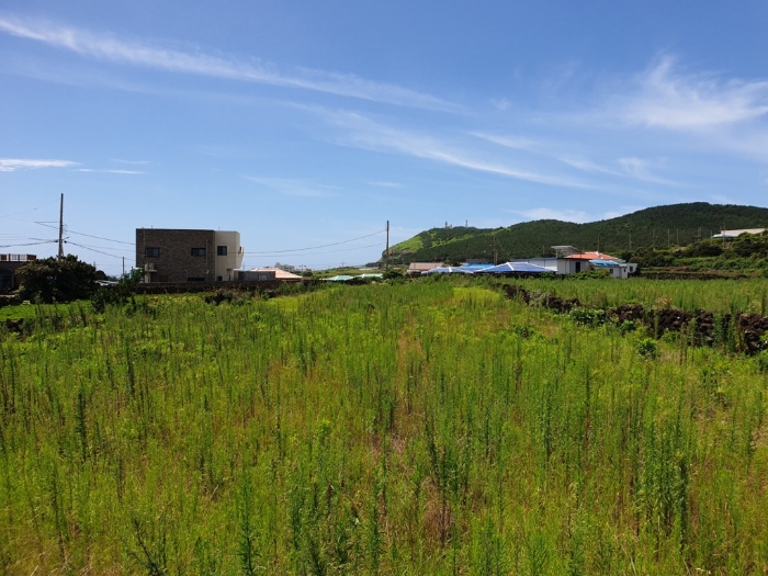 기호(3)전경 북측에서 촬영 