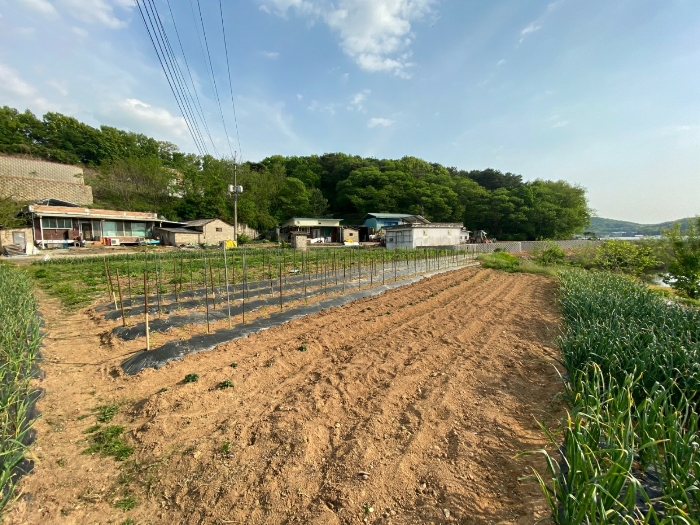 일련번호(2) 전경