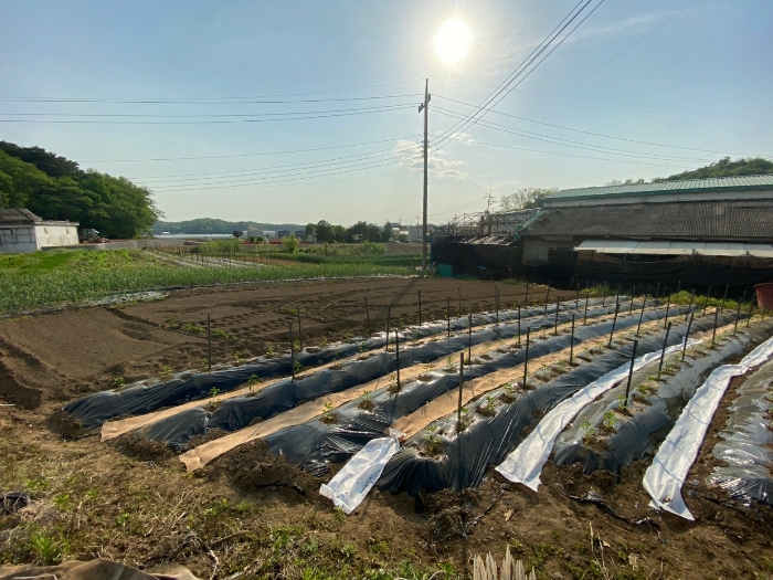 일련번호(3) 전경